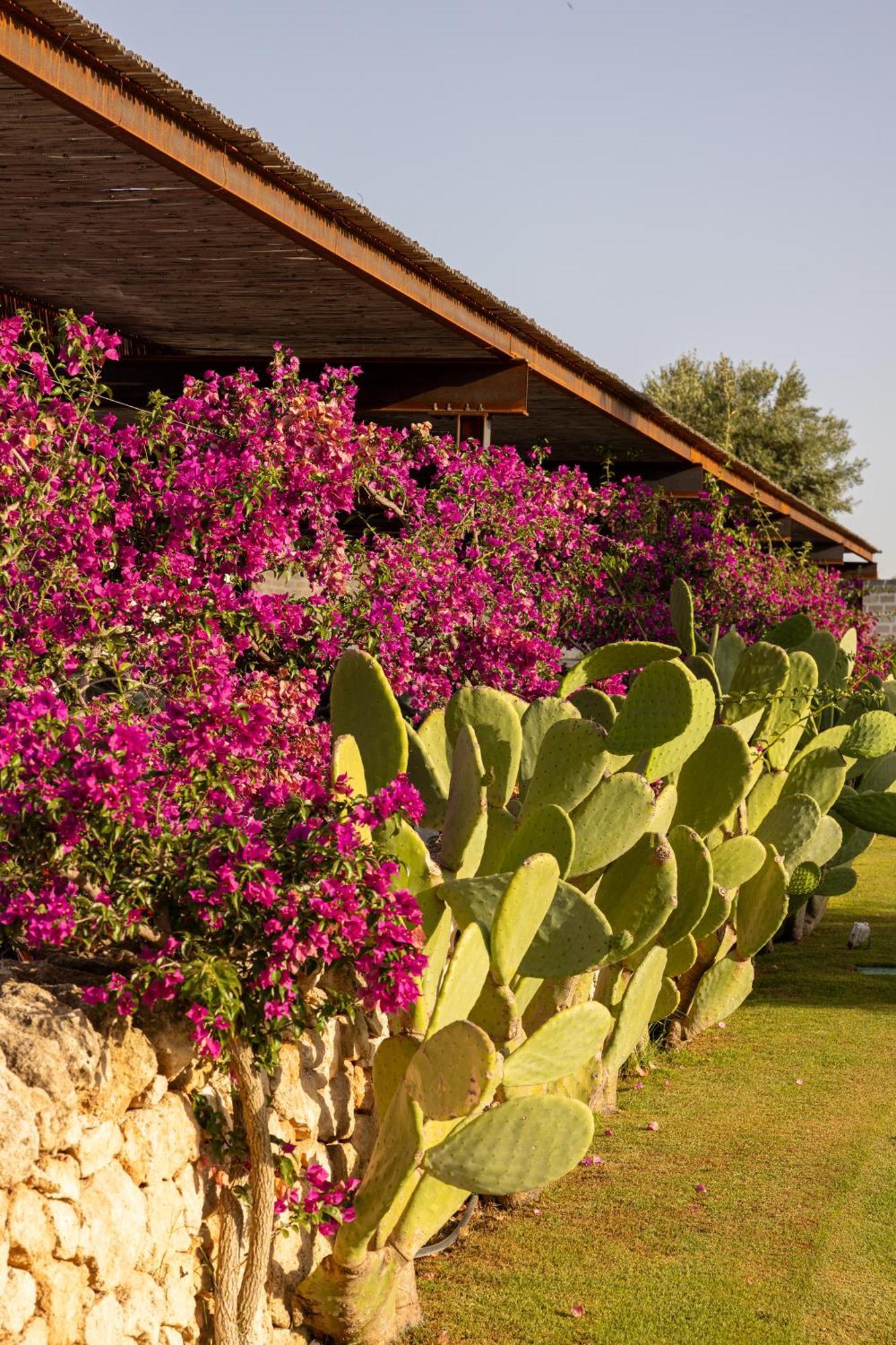 Masseria San Francesco Savelletri Zewnętrze zdjęcie