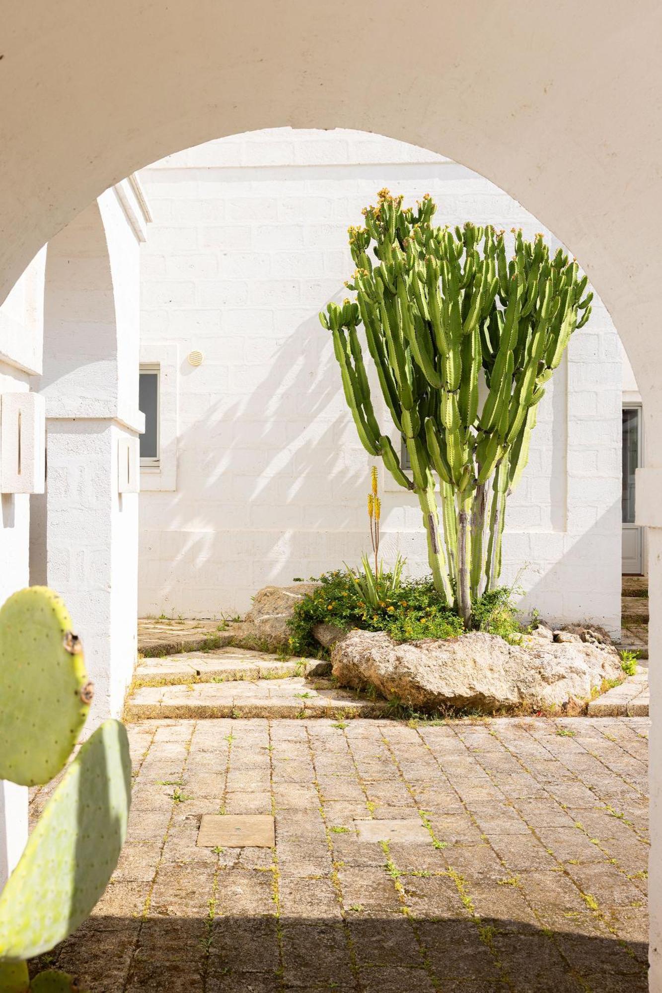 Masseria San Francesco Savelletri Zewnętrze zdjęcie